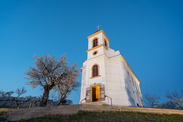 Fototapeta premium Small chapel with almond tree
