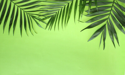 Fototapeta premium green palm leaves on the color background, tropical leaf frame with copy space, flat lay