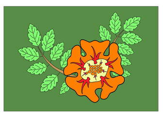 Orange flower with red decorations surrounded with two branches with green leaves.