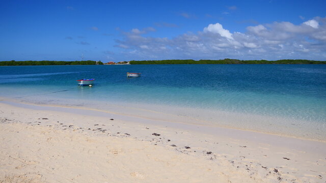 Lac Bay In Bonaire 