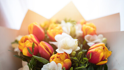 Mix of spring tulips flowers, 16x9