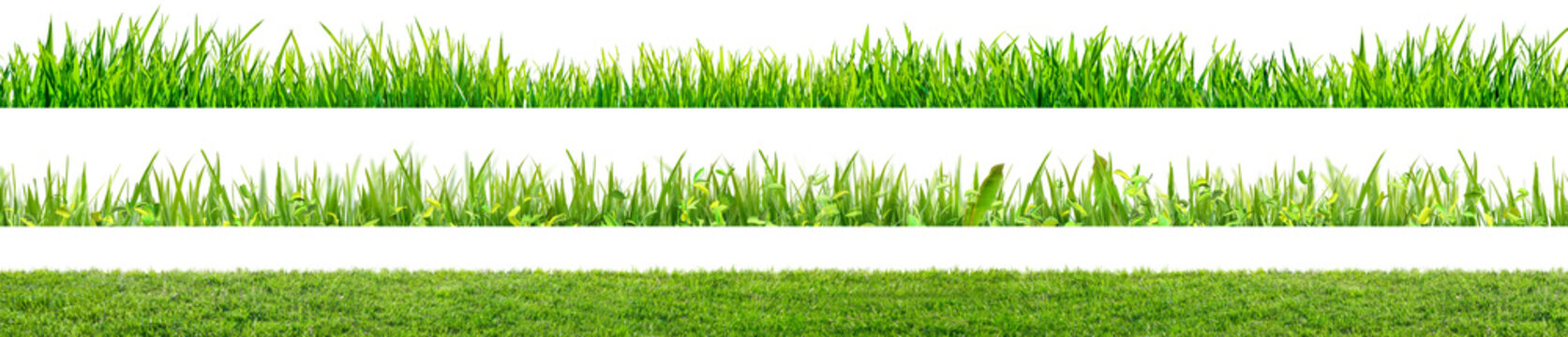 a set of green grass field isolated on white background