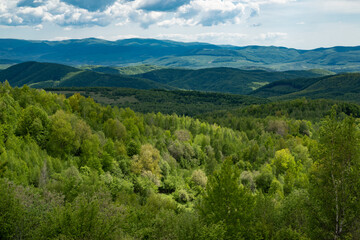 Fototapeta na wymiar Travel landscape. Hill or mountain coutntryside. Grassy scenic view. Wood at nature panorama.