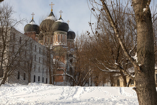 In the foreground a tree trunk with bark partly covered with snow. On the background a slightly blurred large orthodox church made of redstone with three domes with golden crosses with colorful mosaic