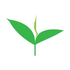 A Letter Logo Template