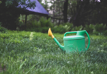 Green watering can on the grass in the garden