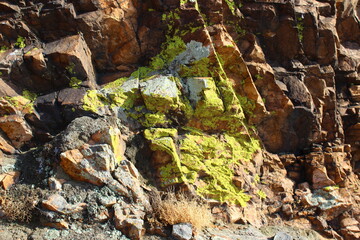 Weathered Rocks Background with Lichen Full Frame of Cliff 