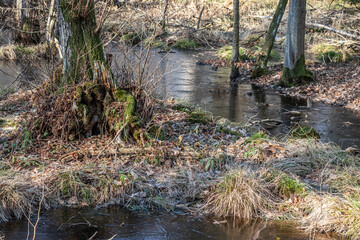 Bachlauf