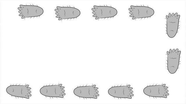 Footprints of a walking Bigfoot frame. Sasquatch's footprints are comical.