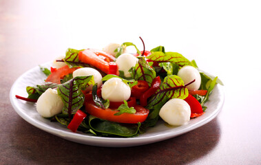 Mozzarella, vegetable and herb healthy salad