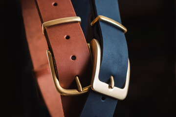 Blue and brown leather belt with gold buckles on a black background is a big plan