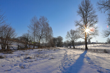 Winter morning, sunrise.
The majestic winter landscape glows with sunlight in the morning. Dramatic winter scene, countryside.