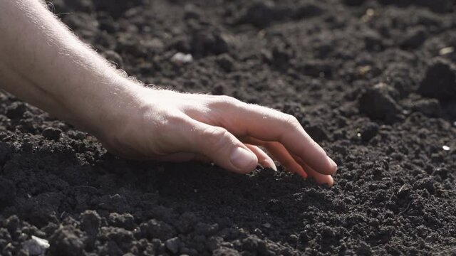 Old wrinkled male hand playing with ground. Old man hands take a handful of soil from a heap of ground. Close up slow motion shot isolated on black background