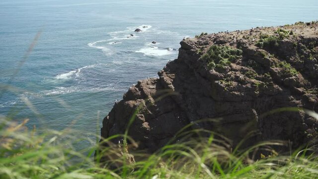 rugged blue ocean pacific coast huge rock cliff with cormorant bird colony nest breeding area seagull and other birds landing