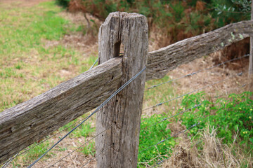 Fototapeta premium old wooden fence in a field