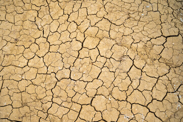 Terra arida