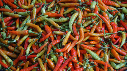 Lots of red and green chilli pepper. Can be used for food background