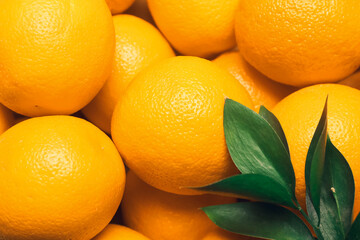 Many ripe oranges as background