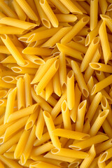 Uncooked Raw Organic Penne Pasta