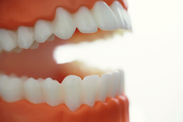 Dentist's office. Dentist examines the oral cavity before treatment. The doctor shows a course of treatment. Caries jaw treatment. Implantation and installation of veneers.