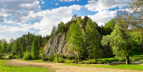 Kociubylska Skała –skała w Dolinie Biała Woda w Małych Pieninach