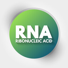 RNA - Ribonucleic acid acronym, medical concept background