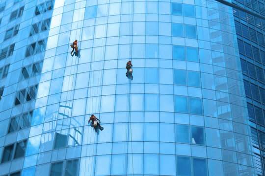 Three high rise abseiling window cleaners hanging of ropes on a blue glass building