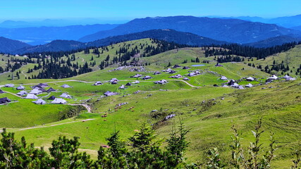 Fototapeta na wymiar Mountain pasture farms Velika Planina in Slovenia
