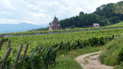Fototapeta na wymiar die Kirche St. Maurice in Orschwiller in den Weinbergen des Elsass, Frankreich