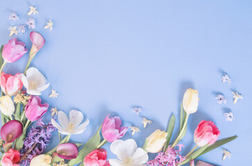 multicolored spring flowers on  blue  background