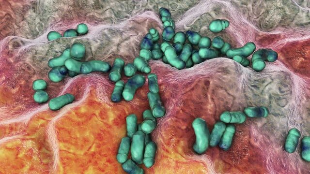 Microscopic fungi Malassezia, the causative agent of dandruff and seborrhoeic dermatitis, 3D animation