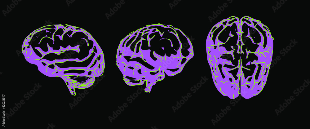 Poster the human brain from the front and side view. mri of ct scan.