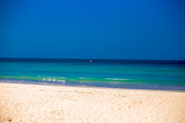 Obraz premium Panoramic nature background (mountains, sea, trees, twilight lights in the sky, waterfront communities), naturally blurred through the wind, seen on tourist spots or scenic spots