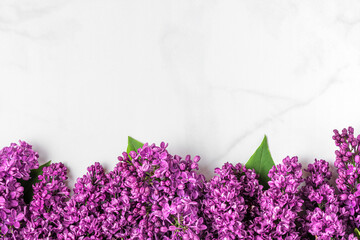 Spring blossoming lilac flowers on white marble background with copy space. top view. flat lay. festive background