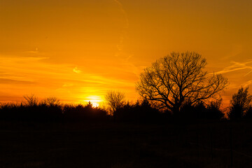 Fototapeta na wymiar Sunset over rural landscape