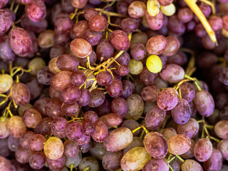 A heap, pile of pink-green grapes lie on top of each other in a store. Bunches of grapes in a supermarket