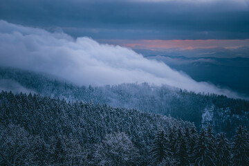 Winterliche Nebelbank
