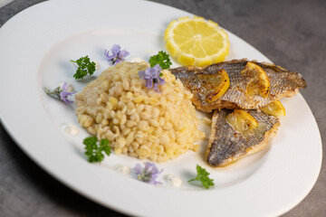 Lemon-spiked sea bream fillet, cooked wheat risotto on plate
