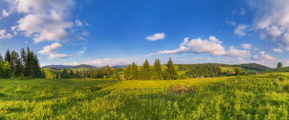 Mountain summer landscape, meadow, fir trees and pines, blue sky with clouds. Horizontal panorama