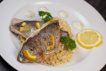 Lemon-spiked sea bream fillet, cooked wheat risotto on plate