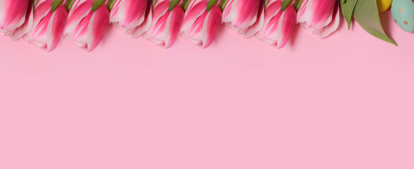 Pink tulips on a pink background. Flat lay, top view. Love, International Women day,8 March, Happy Easter, Mother day and Happy Valentine day concept. Copy space for text. Banner