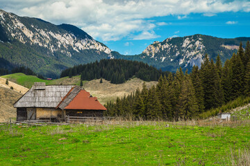 Fototapeta na wymiar Old wooden hut on the forest glade, Transylvania, Romania