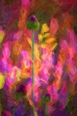Obraz na płótnie Canvas Rare flower Broadleaf Wild Leek or Alium Ampeloprasum in sunny garden
