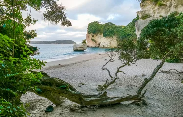 Wall murals Cathedral Cove Cathedral Cove in New Zealand