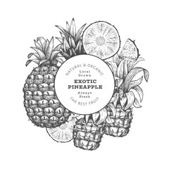 Hand drawn sketch style pineapple banner. Organic fresh fruit vector illustration. Engraved style botanical design template.