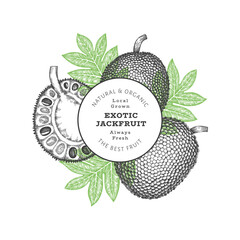 Hand drawn sketch style jackfruit banner. Organic fresh fruit vector illustration. Retro breadfruit design template