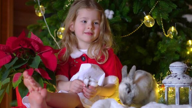 Cute little girl for christmas with a rabbit under the tree. New Year decorations in red and gold colors. High quality 4k footage