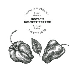 Hand drawn sketch style scotch bonnet pepper. Organic fresh food vector illustration isolated on white background. Retro plant illustration. Engraved botanical style cayenne pepper. - obrazy, fototapety, plakaty