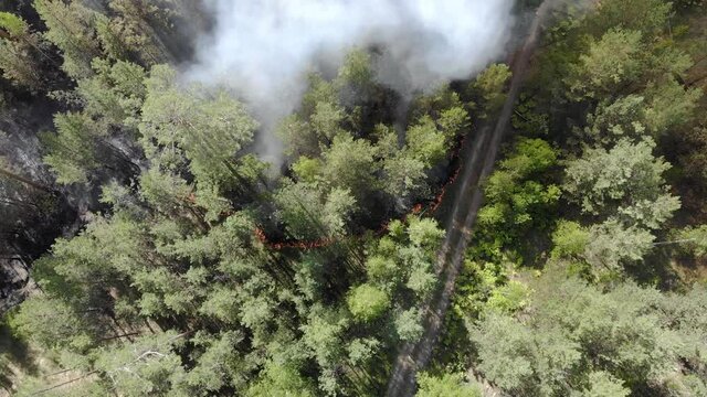Top view of an invincible forest fire
