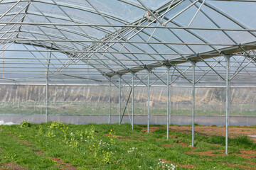 Fototapeta premium New greenhouse in a field